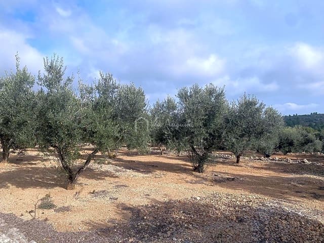 Terre non Aménagée à vendre à El Perelló - 30 000 € (Ref: 7187187)