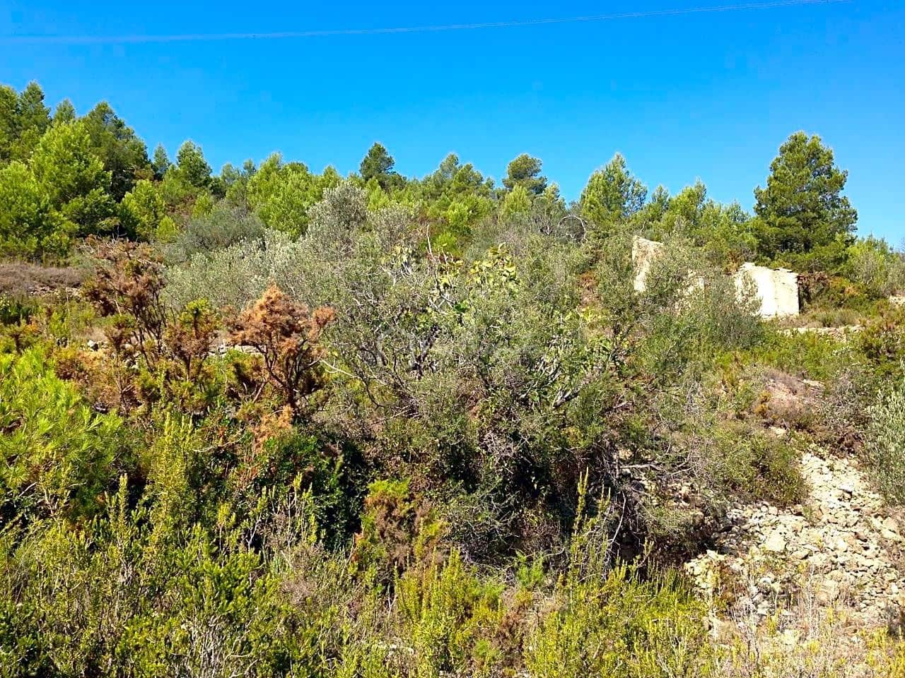 Ubebygd land til salgs i El Perello - € 13 000 (Ref: 7233755)