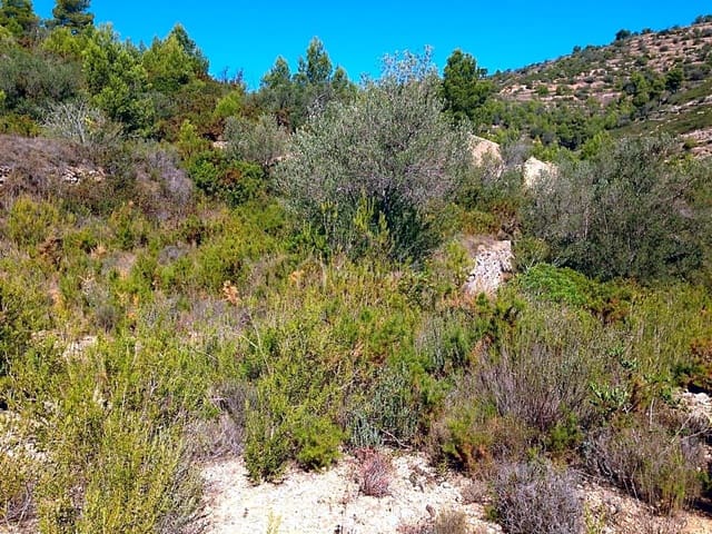 Undeveloped Land for sale in El Perelló - € 13,000 (Ref: 7233755)