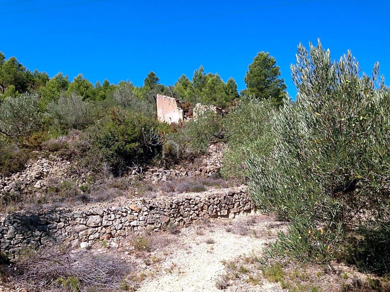 Ubebygd land til salgs i El Perello - € 13 000 (Ref: 7233755)