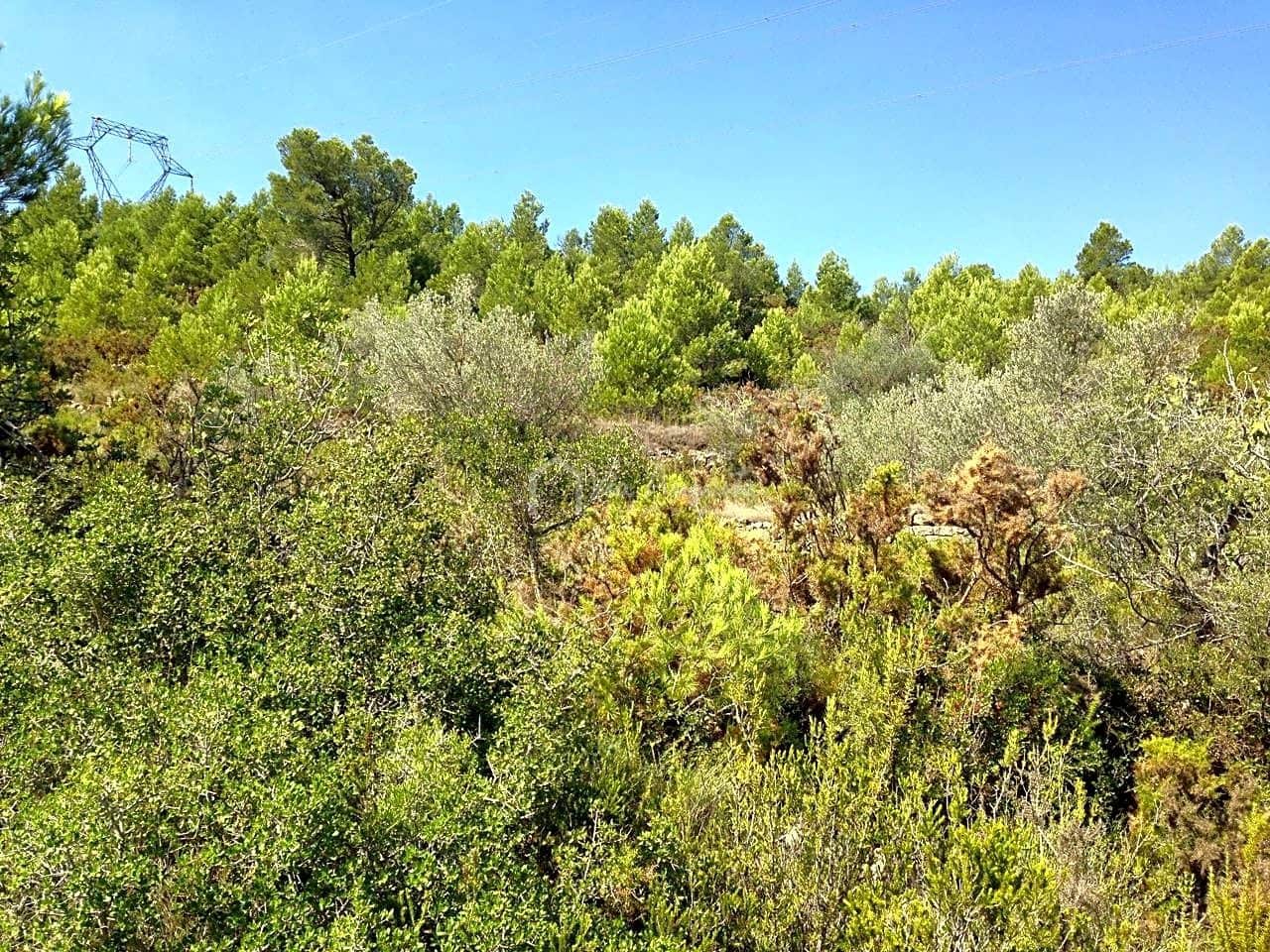 Ubebygd land til salgs i El Perello - € 13 000 (Ref: 7233755)