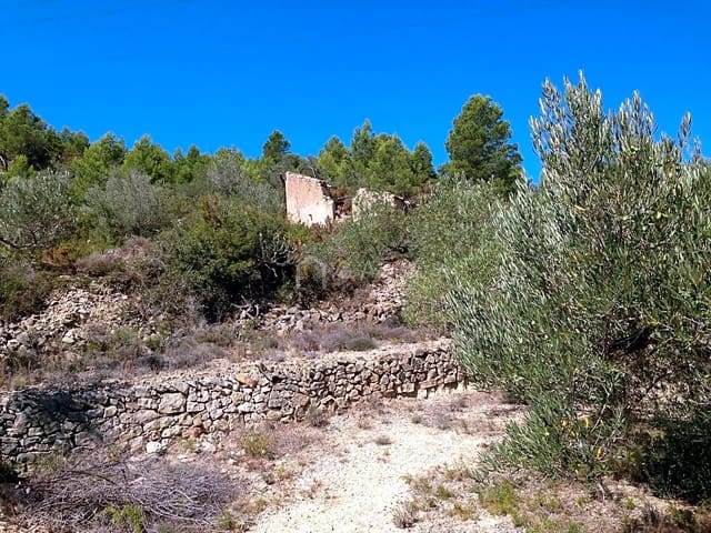 Undeveloped Land for sale in El Perelló - € 13,000 (Ref: 7233755)