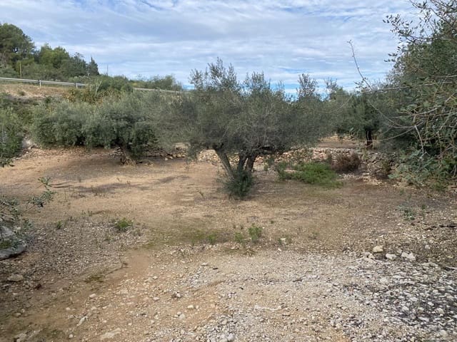 Undeveloped Land for sale in El Perelló - € 42,000 (Ref: 7237276)