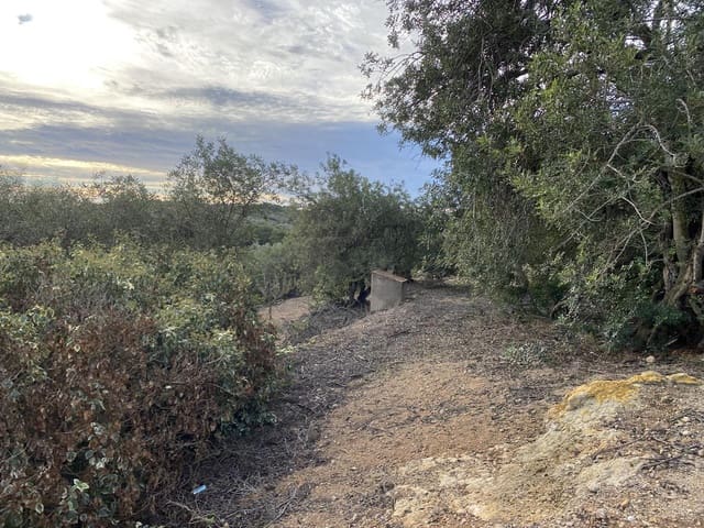 Undeveloped Land for sale in El Perelló - € 42,000 (Ref: 7237276)