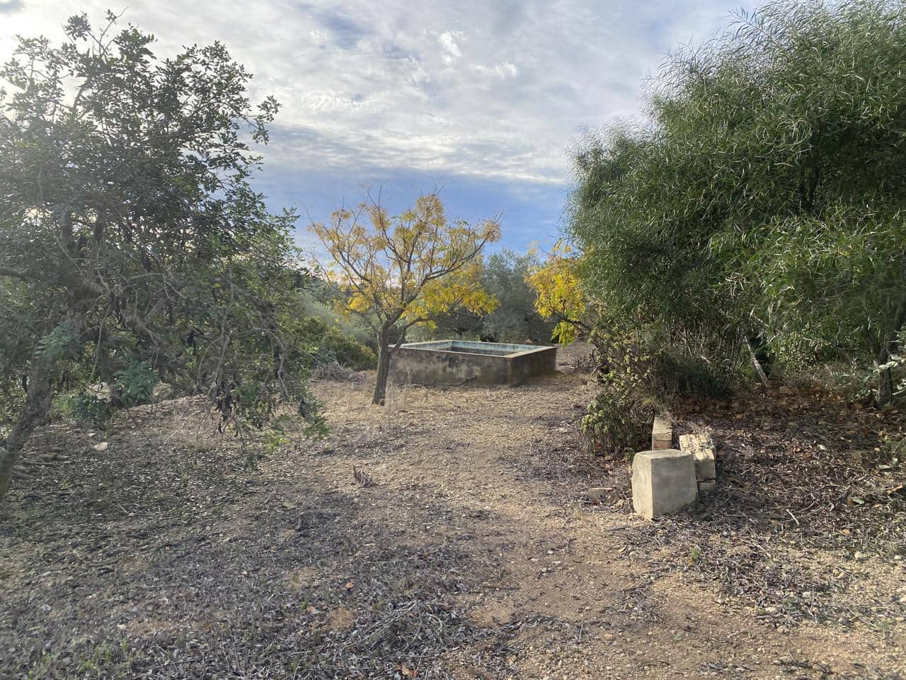 Undeveloped Land for sale in El Perello - € 42,000 (Ref: 7237276)