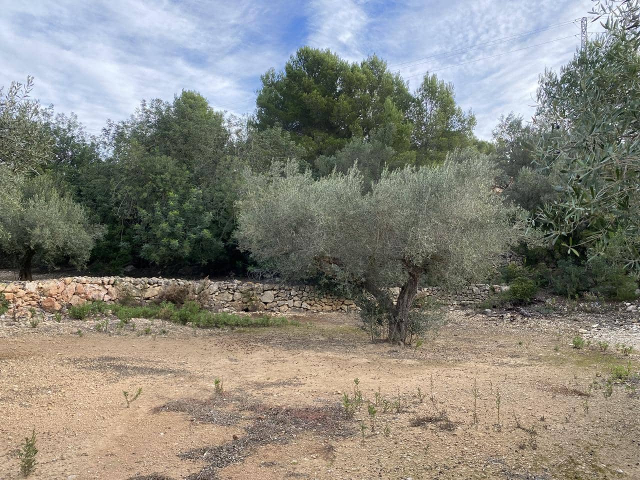Undeveloped Land for sale in El Perello - € 42,000 (Ref: 7237276)