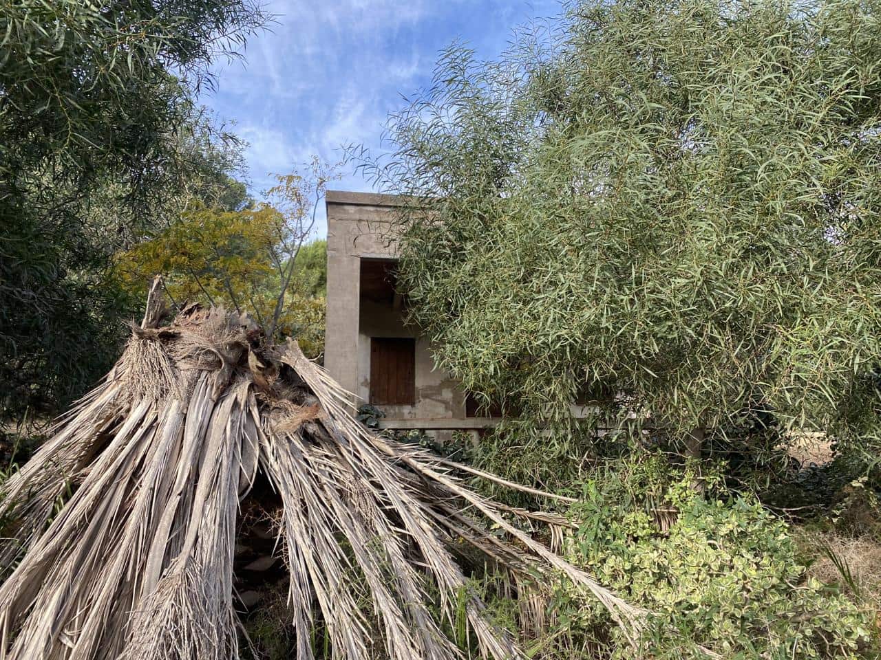 Undeveloped Land for sale in El Perello - € 42,000 (Ref: 7237276)