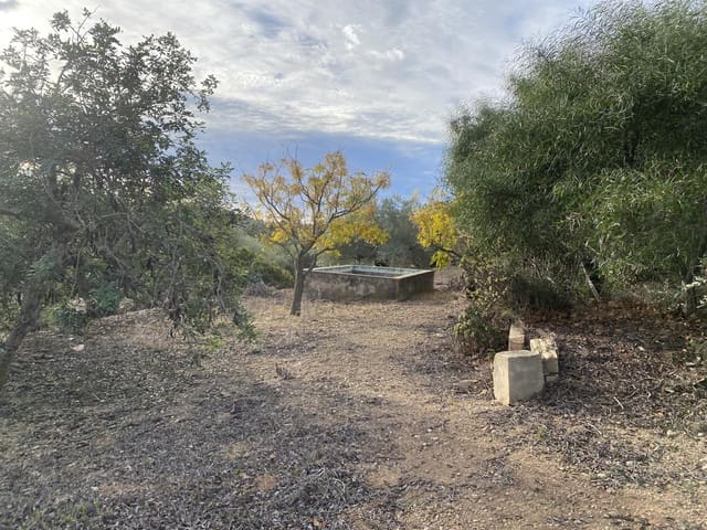 Undeveloped Land for sale in El Perelló - € 42,000 (Ref: 7237276)