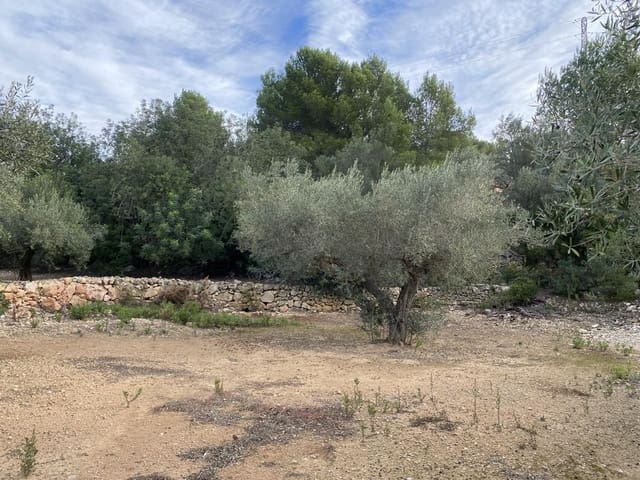 Undeveloped Land for sale in El Perelló - € 42,000 (Ref: 7237276)