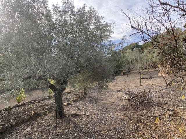 Undeveloped Land for sale in El Perelló - € 42,000 (Ref: 7237276)