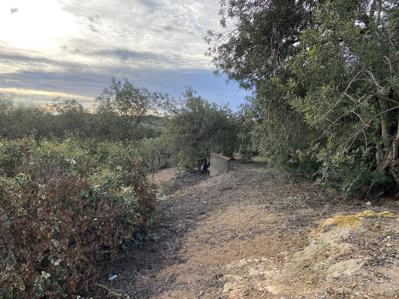 Landgrundstück zu verkaufen in El Perello - 42.000 € (Ref: 7237276)