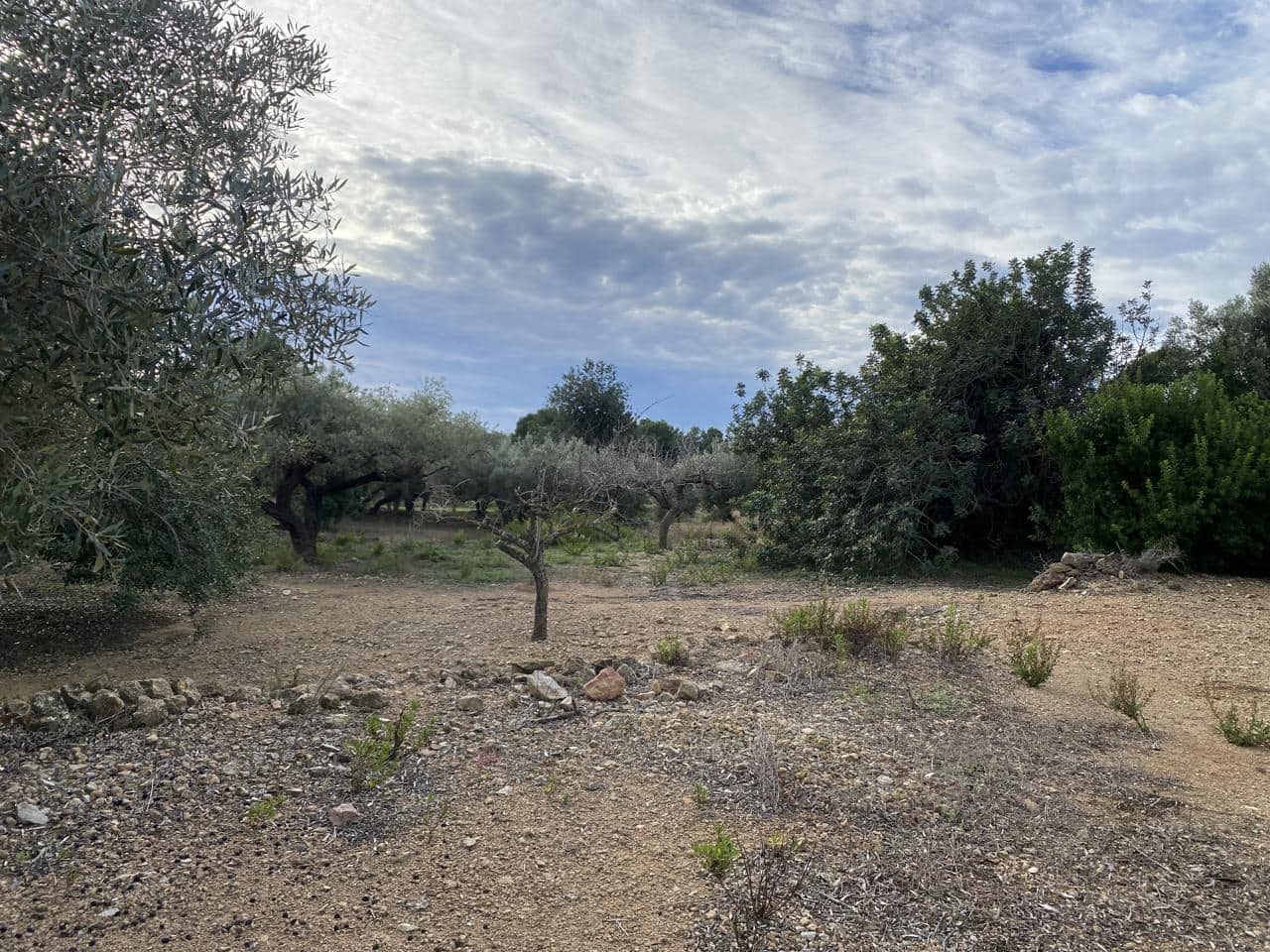Landgrundstück zu verkaufen in El Perello - 42.000 € (Ref: 7237276)