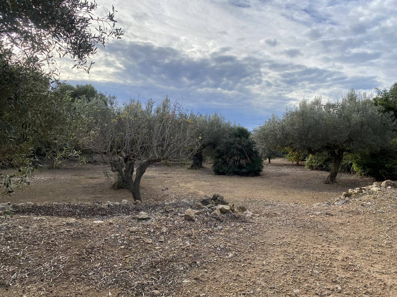 Landgrundstück zu verkaufen in El Perello - 42.000 € (Ref: 7237276)