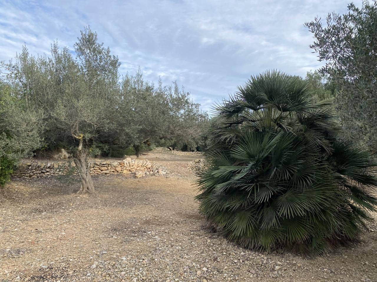 Landgrundstück zu verkaufen in El Perello - 42.000 € (Ref: 7237276)
