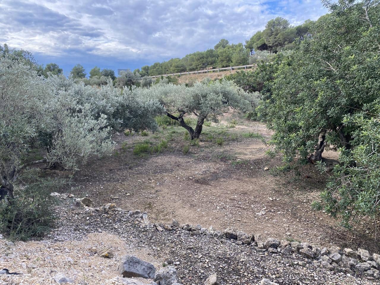 Landgrundstück zu verkaufen in El Perello - 42.000 € (Ref: 7237276)