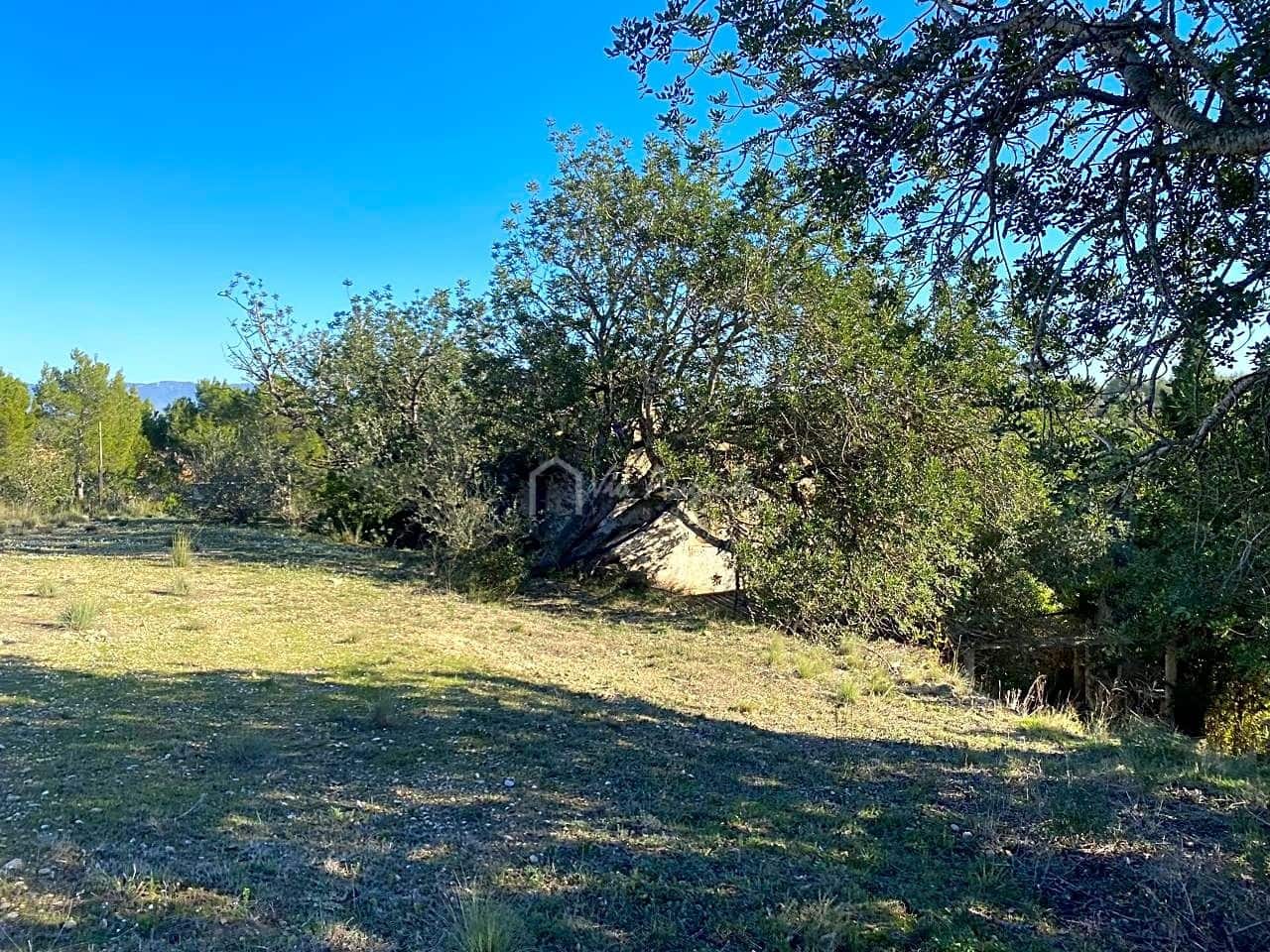 Ubebygd land til salgs i Roquetes - € 185 000 (Ref: 7318632)