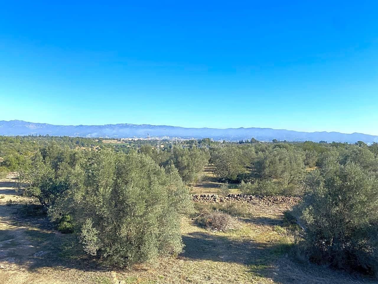 Ubebygd land til salgs i Roquetes - € 185 000 (Ref: 7318632)