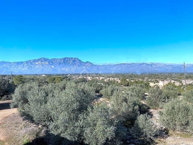 Terreno Não Urbanizado para venda em Roquetes - 185 000 € (Ref: 7318632)