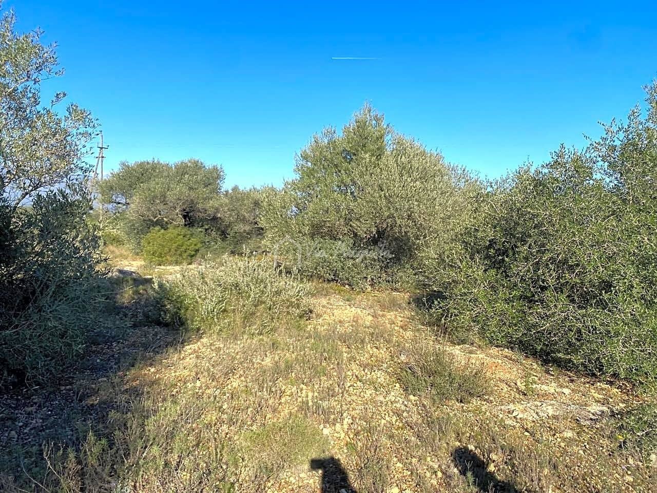 Ubebygd land til salgs i Roquetes - € 185 000 (Ref: 7318632)