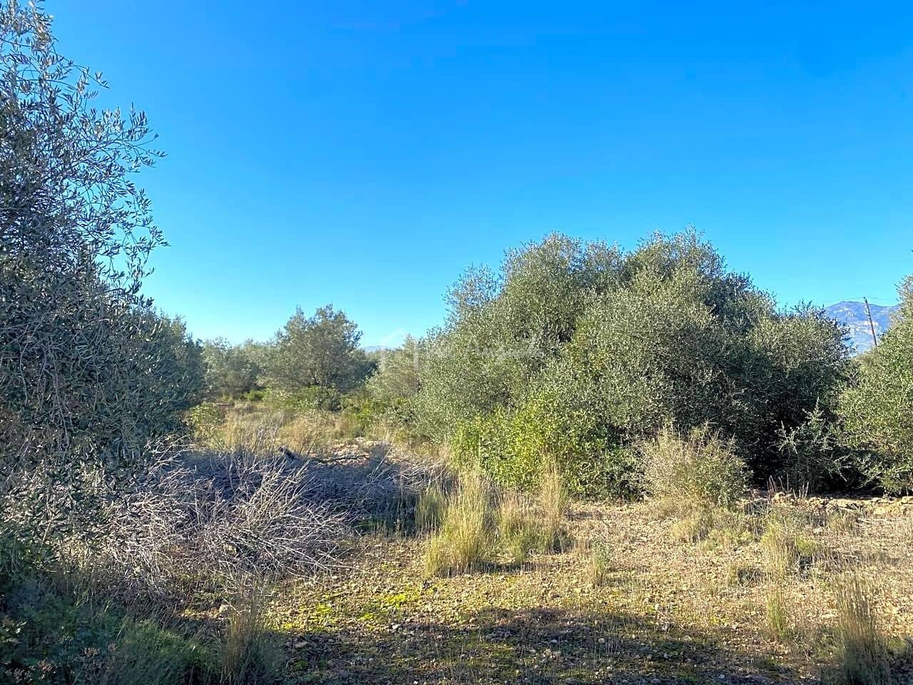 Ubebygd land til salgs i Roquetes - € 185 000 (Ref: 7318632)