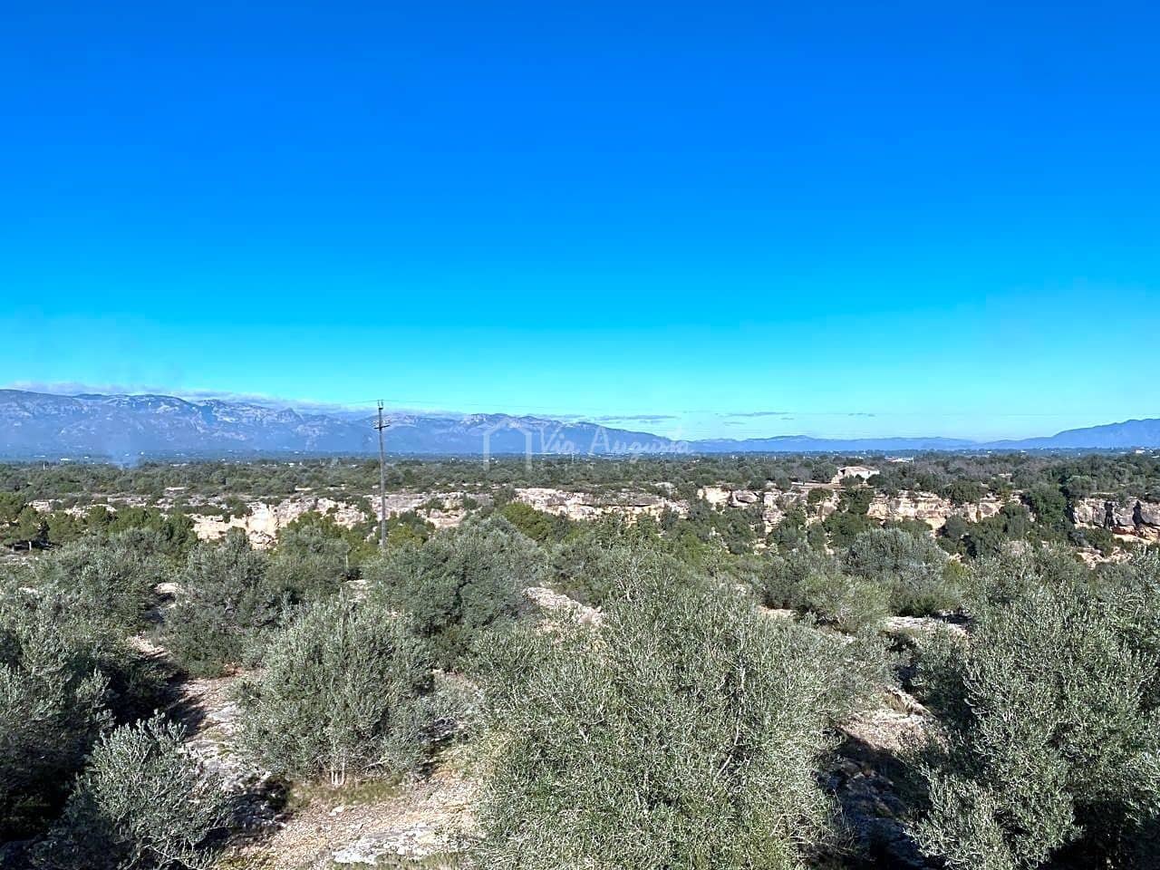 Ubebygd land til salgs i Roquetes - € 185 000 (Ref: 7318632)