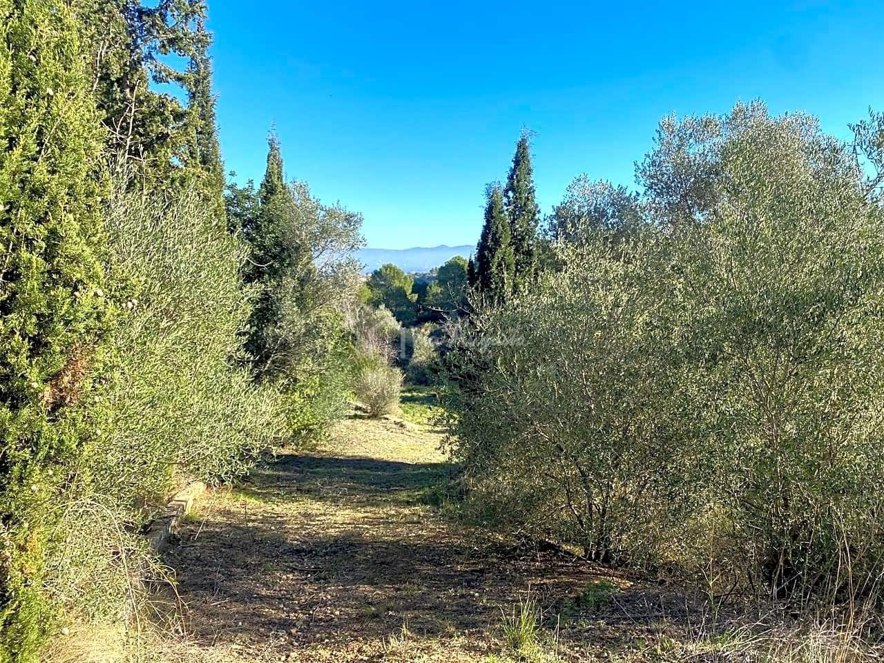 Ubebygd land til salgs i Roquetes - € 185 000 (Ref: 7318632)