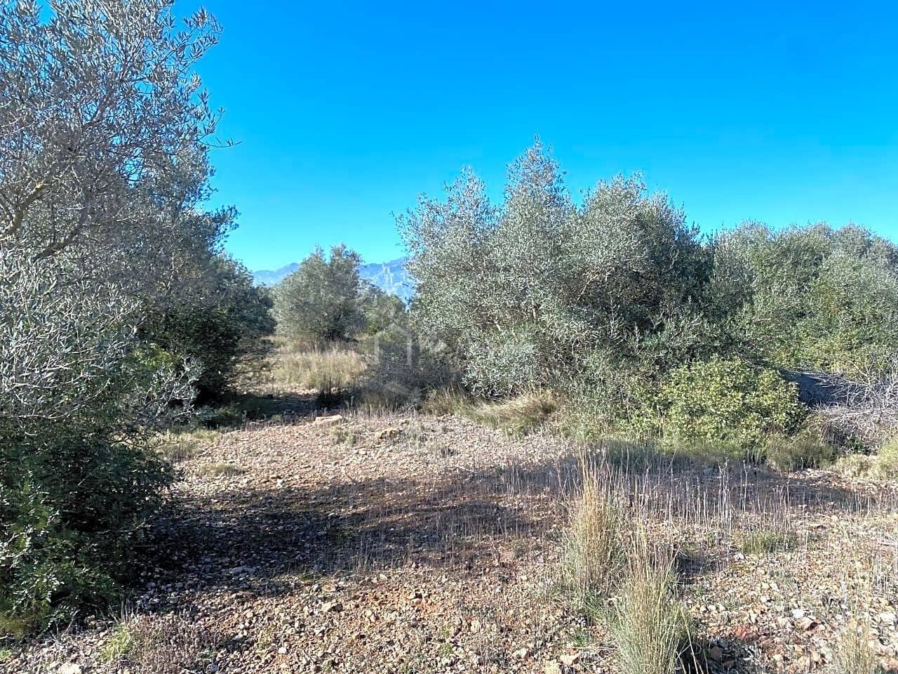 Ubebygd land til salgs i Roquetes - € 185 000 (Ref: 7318632)