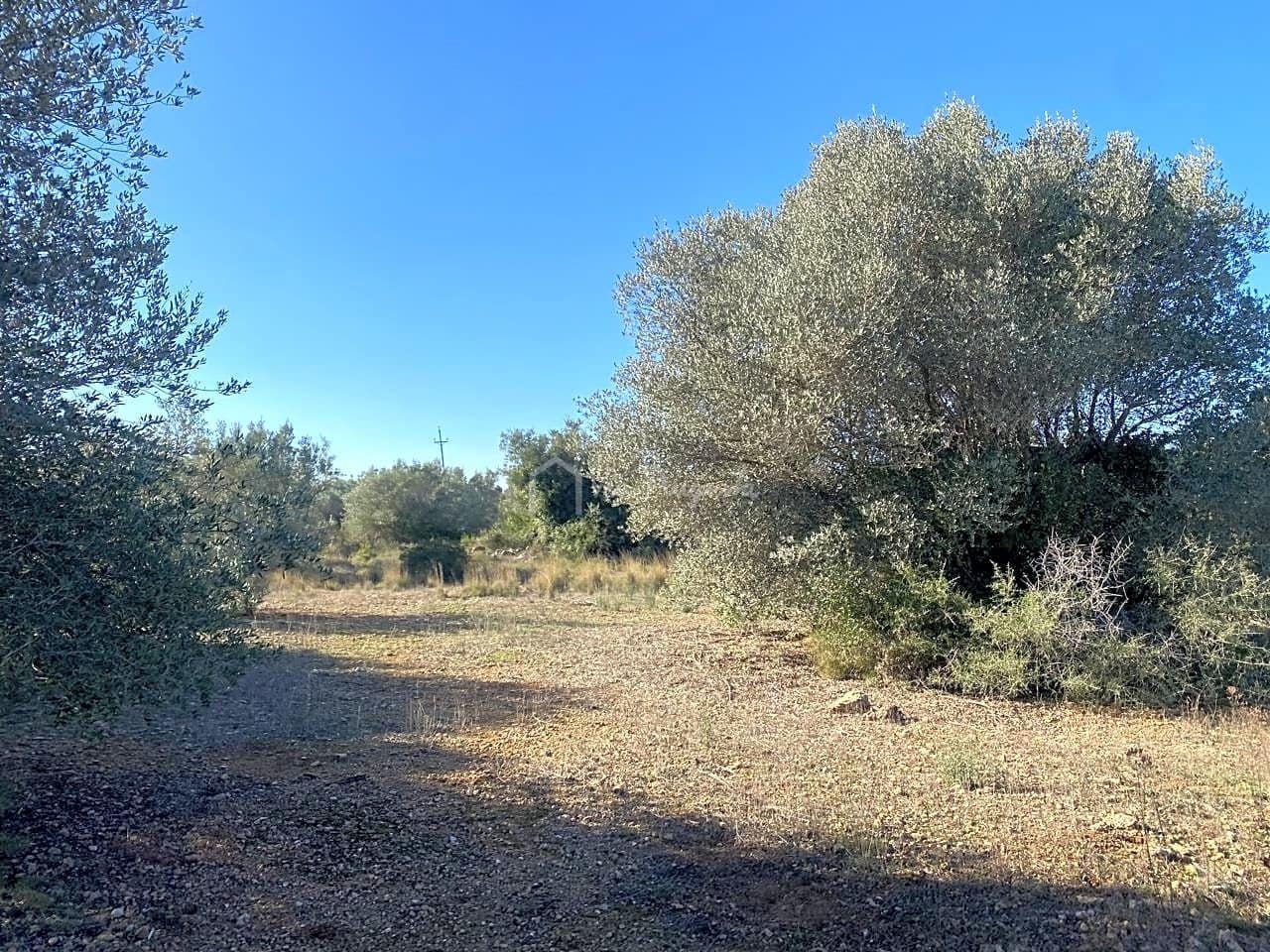 Ubebygd land til salgs i Roquetes - € 185 000 (Ref: 7318632)