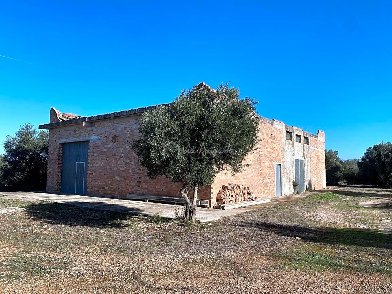 Ubebygd land til salgs i Roquetes - € 185 000 (Ref: 7318632)