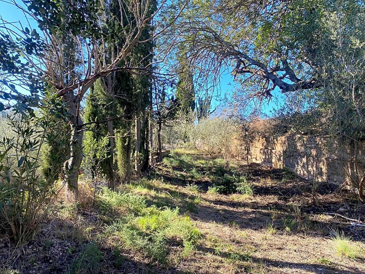 Ubebygd land til salgs i Roquetes - € 185 000 (Ref: 7318632)