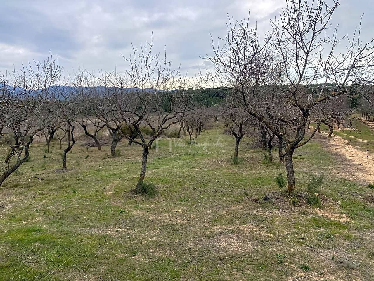 Grunde uden byggetilladelser til salg i Rasquera - € 35.000 (Ref: 7350878)