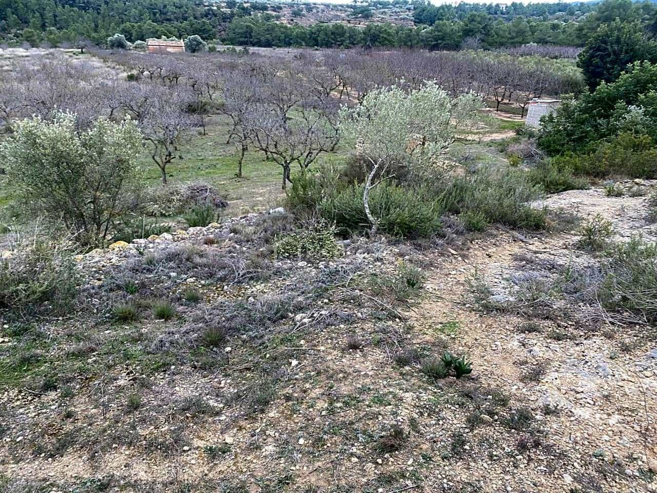 Grunde uden byggetilladelser til salg i Rasquera - € 35.000 (Ref: 7350878)