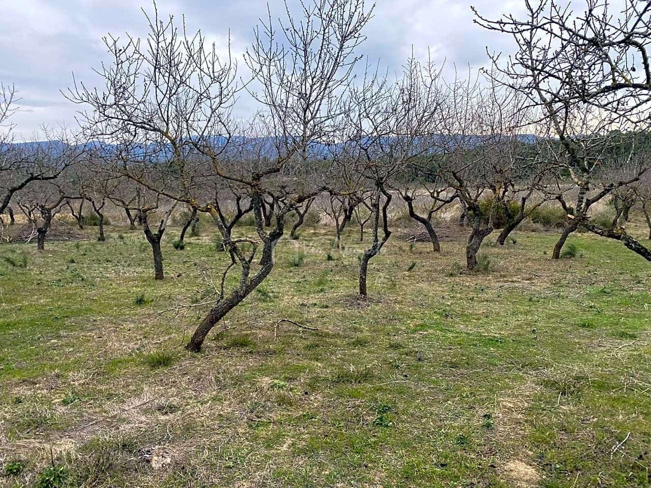 Grunde uden byggetilladelser til salg i Rasquera - € 35.000 (Ref: 7350878)