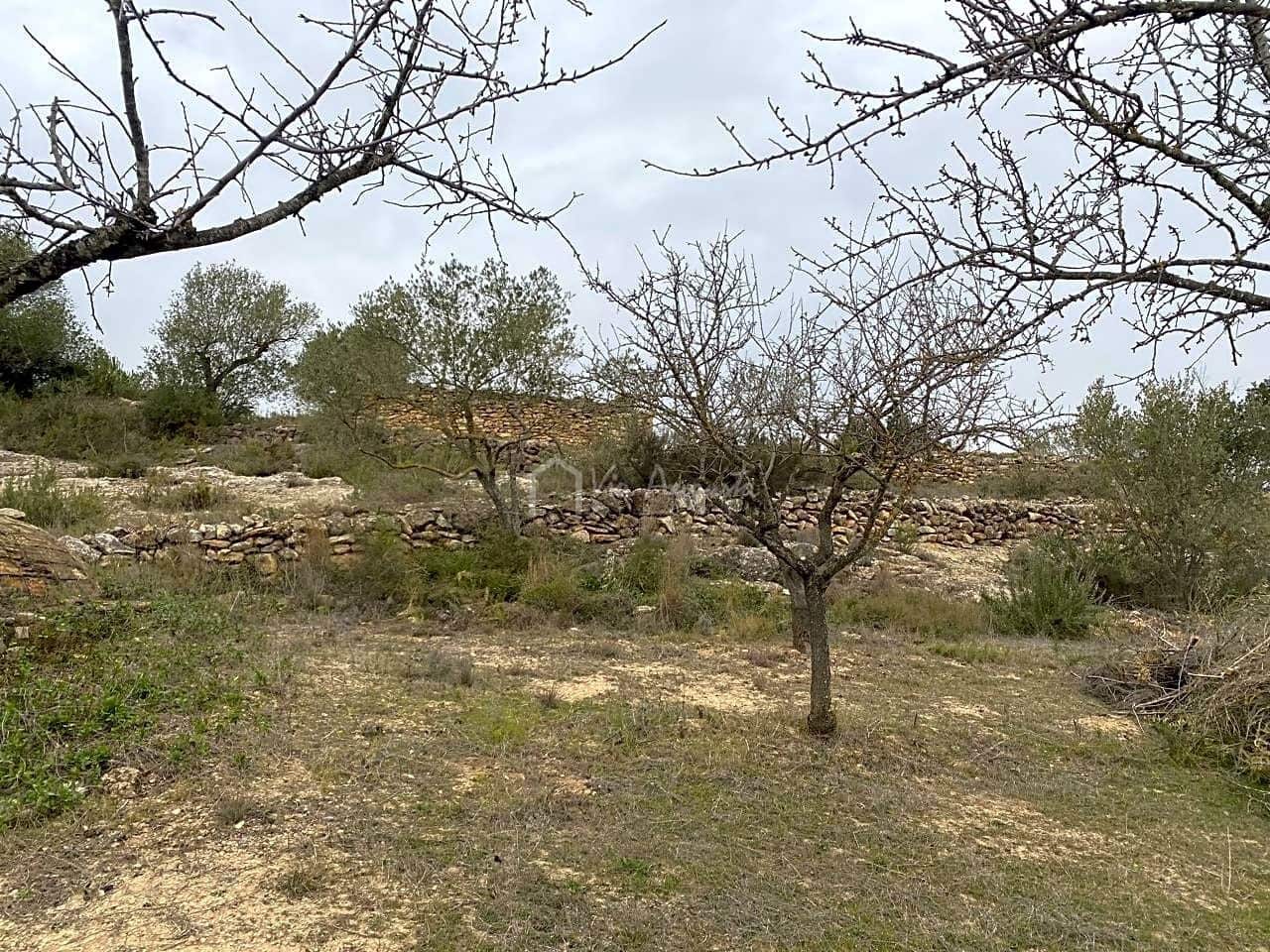 Grunde uden byggetilladelser til salg i Rasquera - € 35.000 (Ref: 7350878)