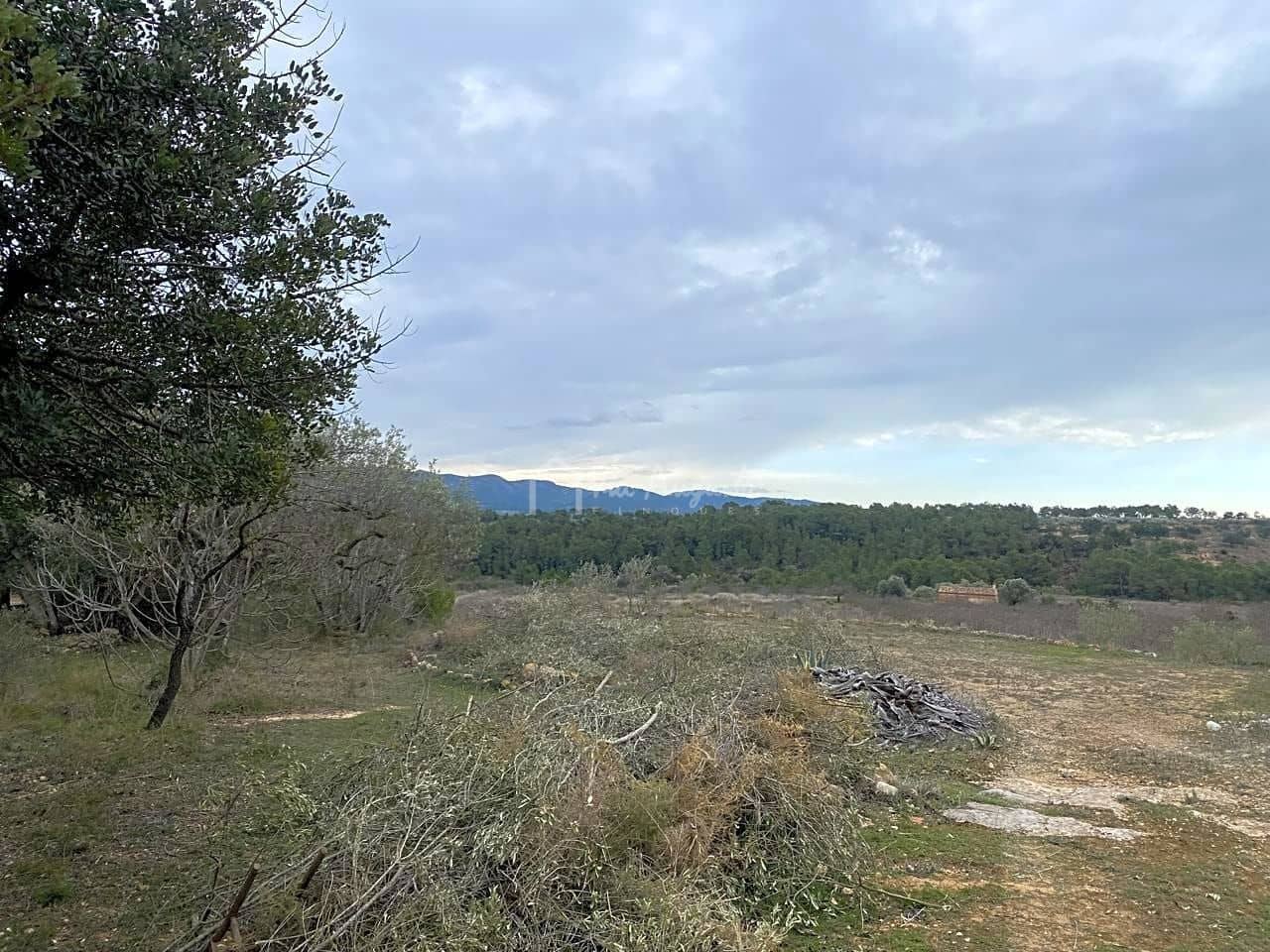 Grunde uden byggetilladelser til salg i Rasquera - € 35.000 (Ref: 7350878)