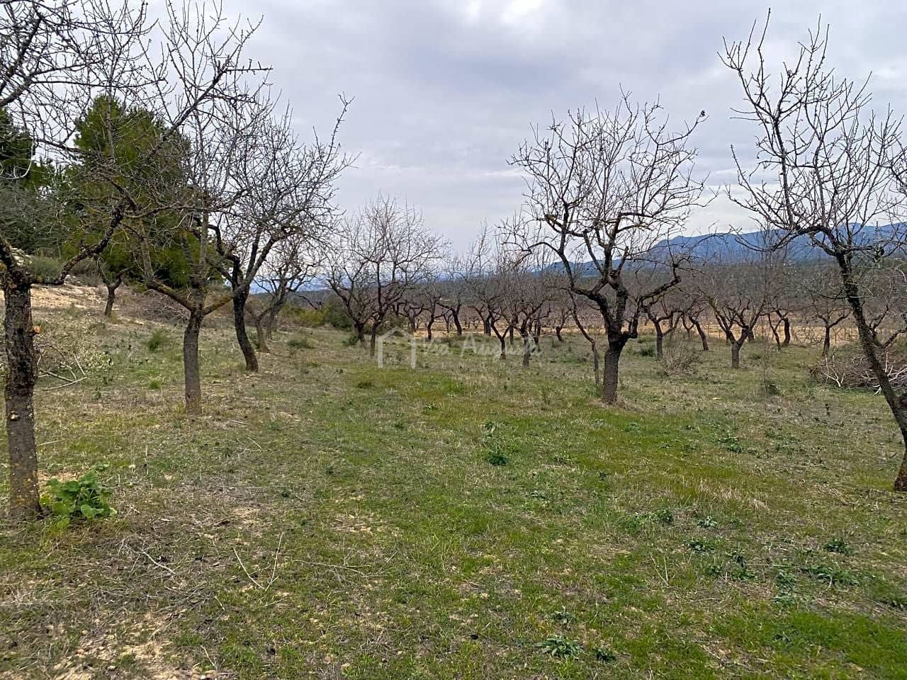 Grunde uden byggetilladelser til salg i Rasquera - € 35.000 (Ref: 7350878)