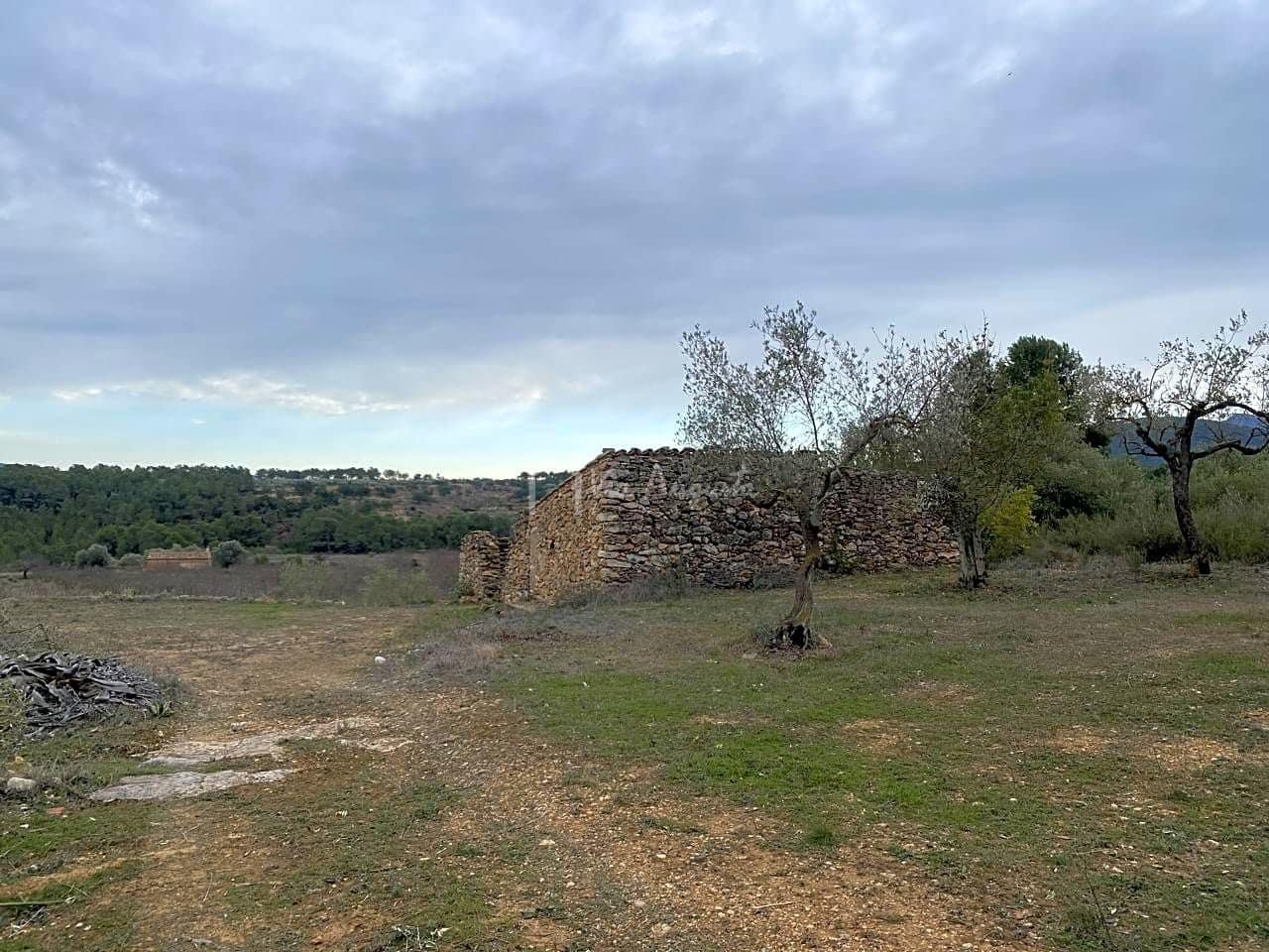 Grunde uden byggetilladelser til salg i Rasquera - € 35.000 (Ref: 7350878)