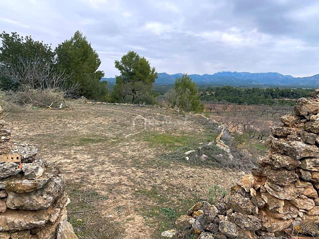 Grunde uden byggetilladelser til salg i Rasquera - € 35.000 (Ref: 7350878)