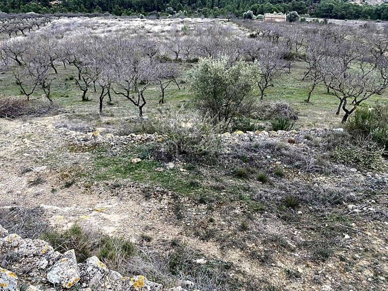 Grunde uden byggetilladelser til salg i Rasquera - € 35.000 (Ref: 7350878)