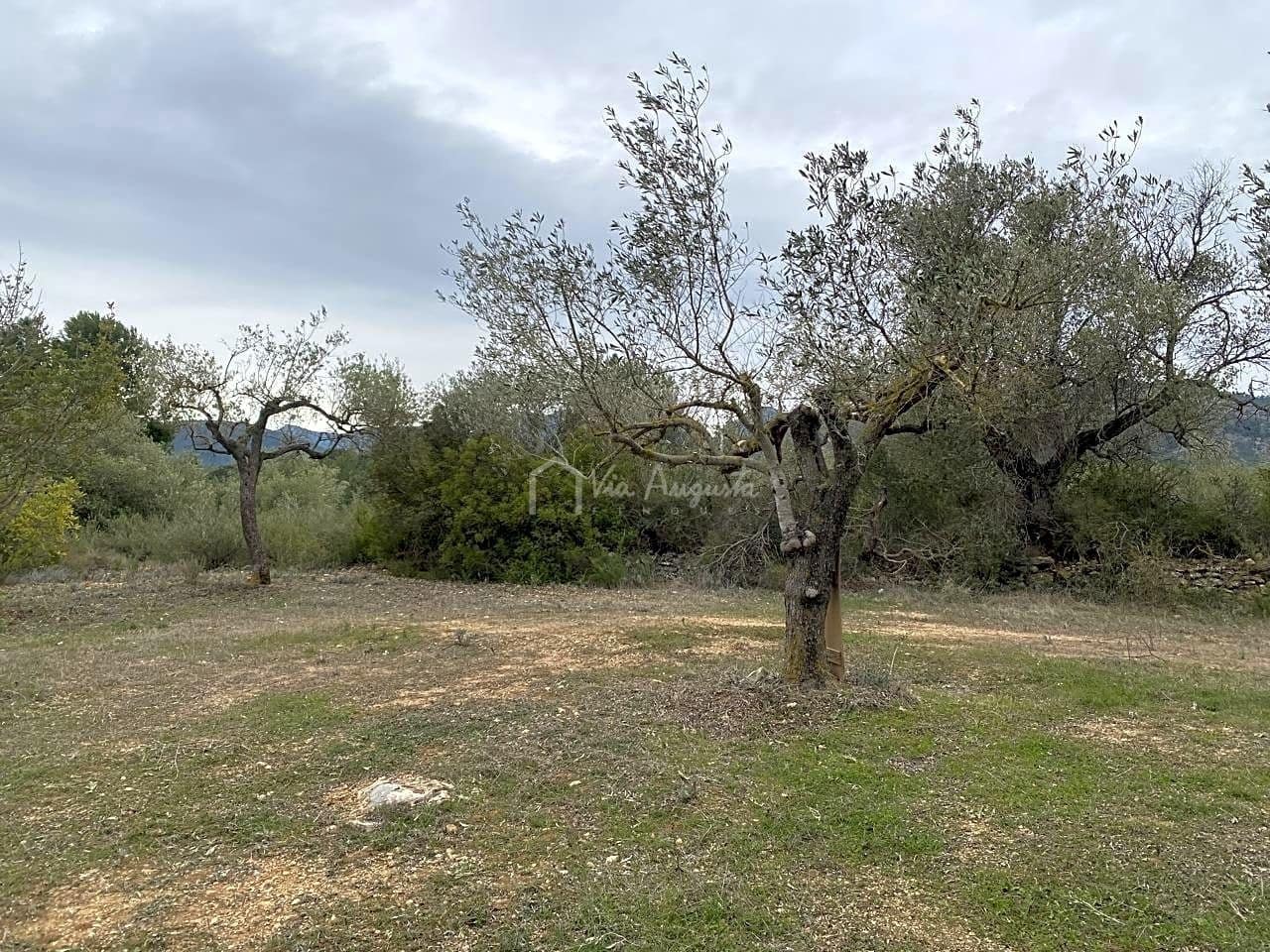 Grunde uden byggetilladelser til salg i Rasquera - € 35.000 (Ref: 7350878)