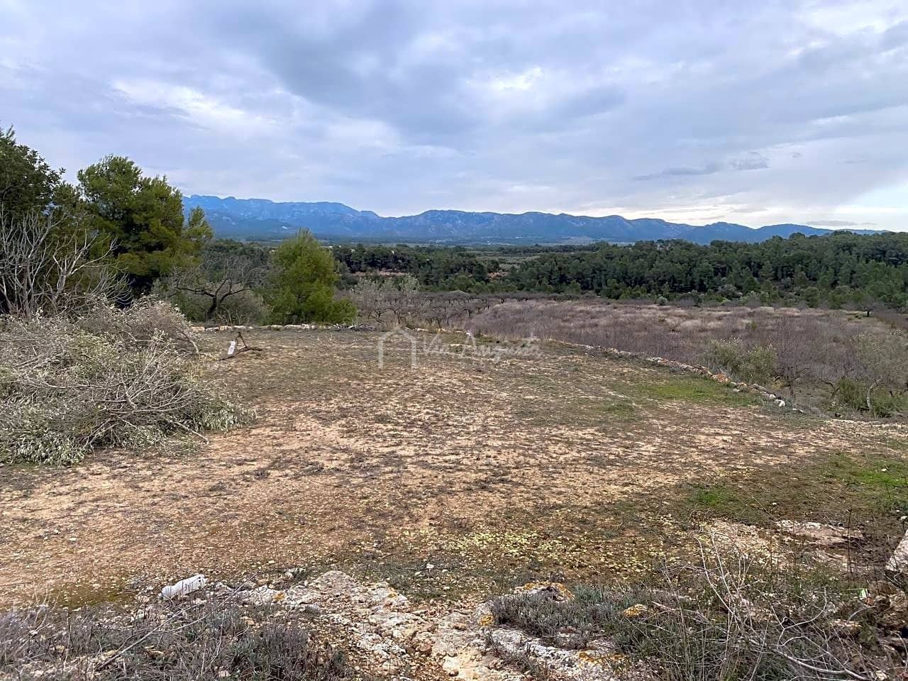 Grunde uden byggetilladelser til salg i Rasquera - € 35.000 (Ref: 7350878)