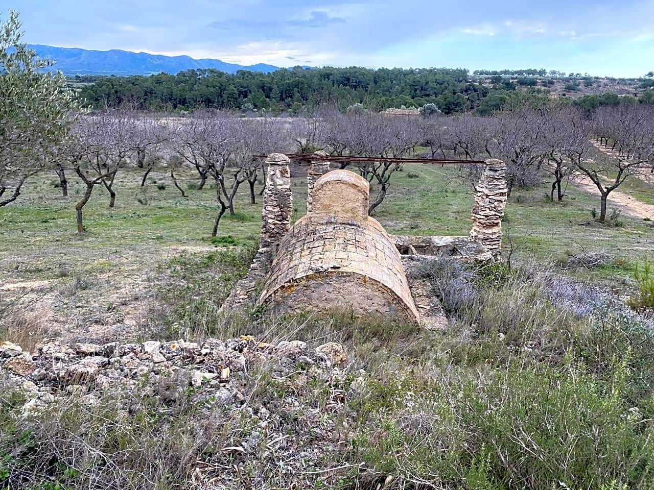 Grunde uden byggetilladelser til salg i Rasquera - € 35.000 (Ref: 7350878)