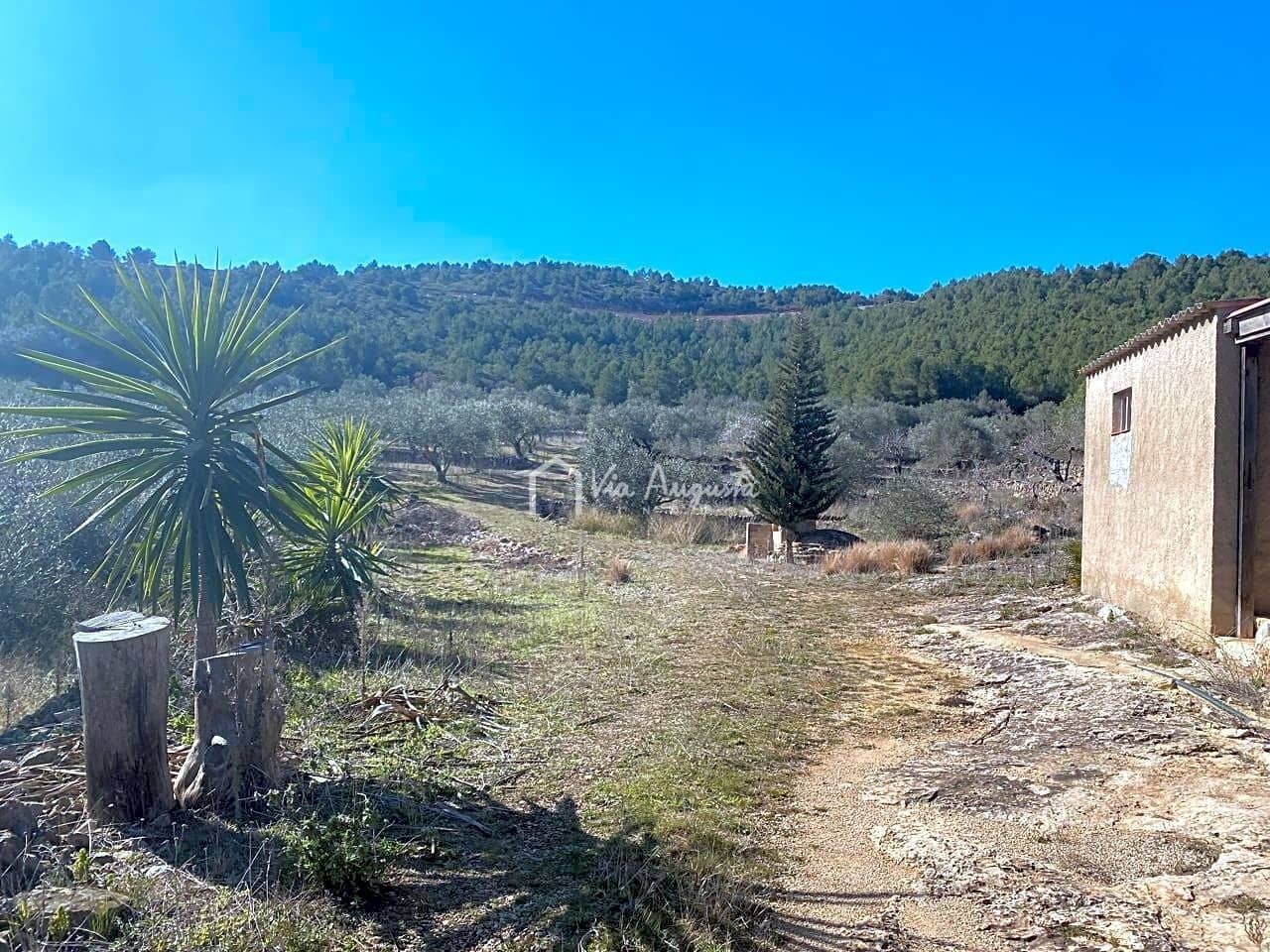 Ubebygd land til salgs i El Perello - € 35 000 (Ref: 7397261)