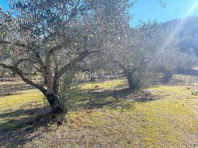 Ubebygd land til salgs i El Perelló - € 35 000 (Ref: 7397261)