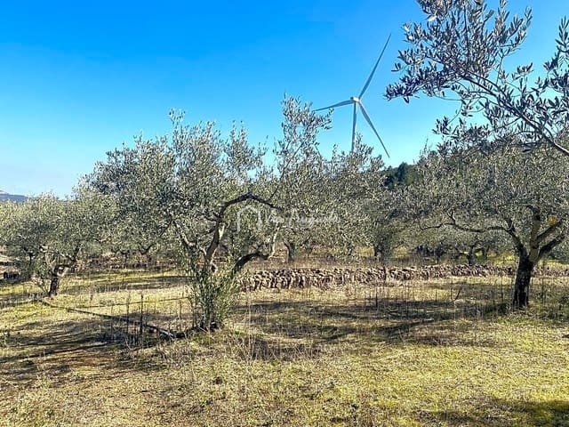 Ubebygd land til salgs i El Perelló - € 35 000 (Ref: 7397261)