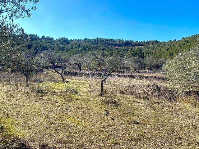 Ubebygd land til salgs i El Perelló - € 35 000 (Ref: 7397261)