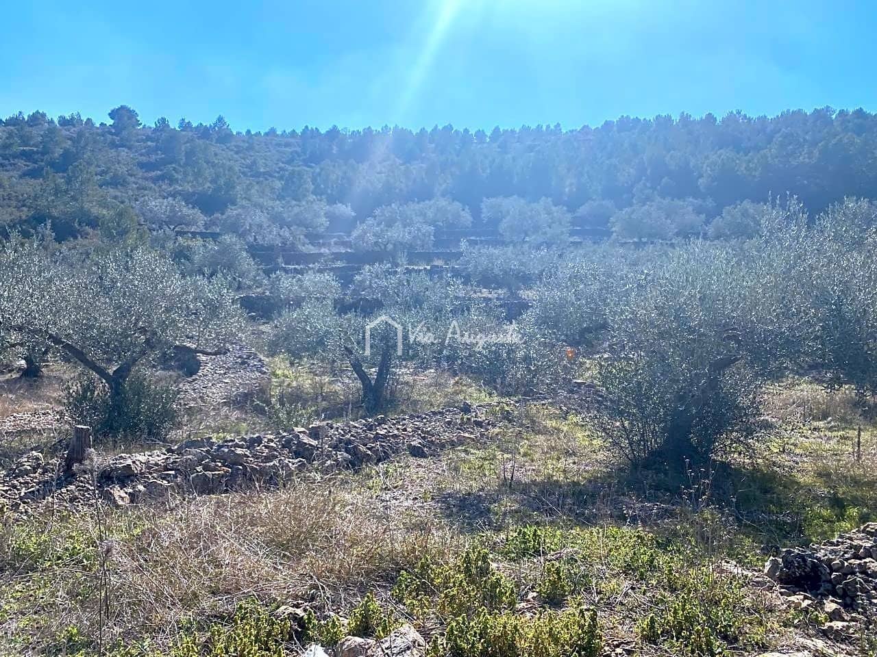 Ubebygd land til salgs i El Perello - € 35 000 (Ref: 7397261)