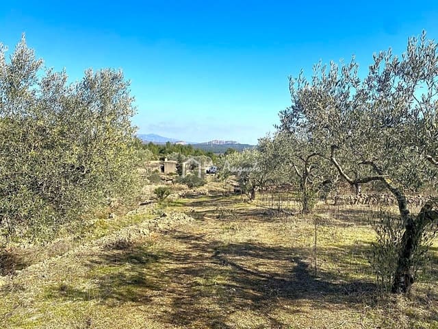 Ubebygd land til salgs i El Perelló - € 35 000 (Ref: 7397261)