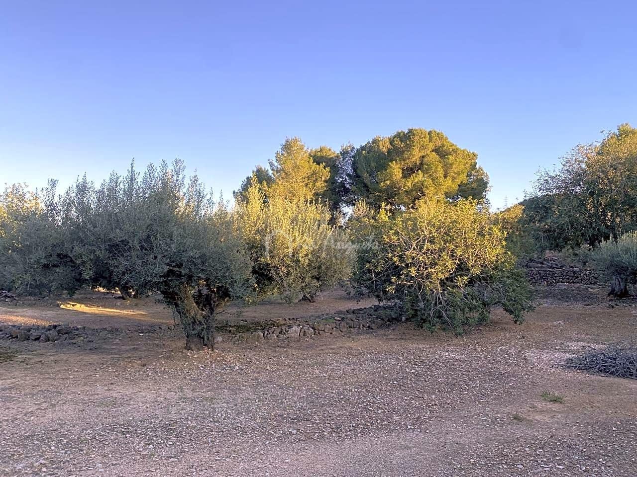 Undeveloped Land for sale in El Perello - € 29,000 (Ref: 7486549)