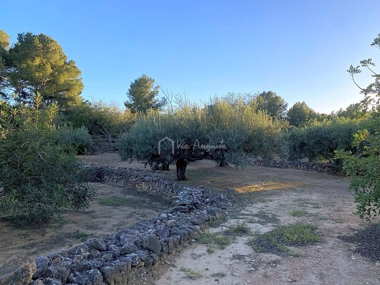 Undeveloped Land for sale in El Perello - € 29,000 (Ref: 7486549)